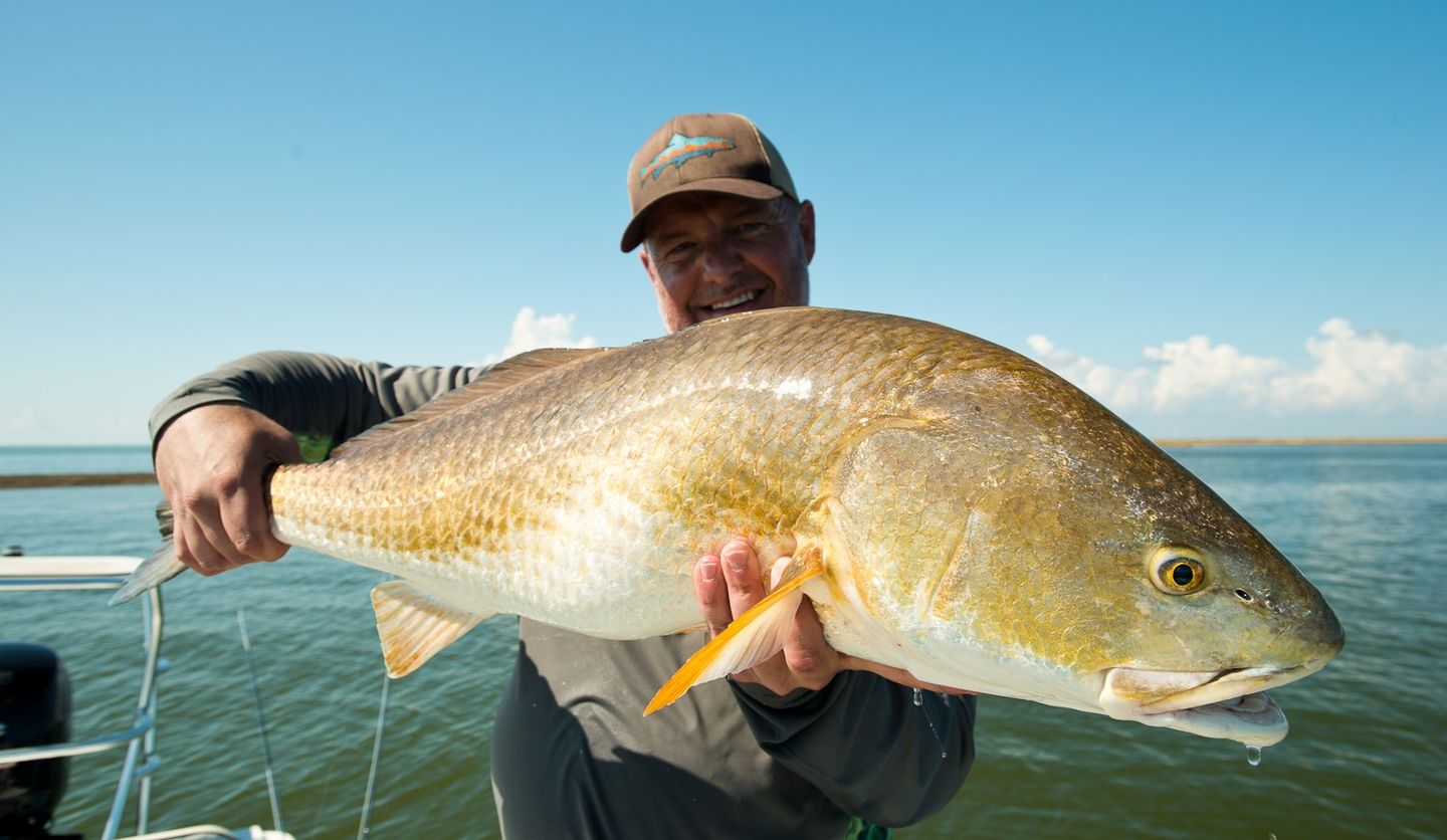 Customer photo review of Lamson Guru S Fly Reel