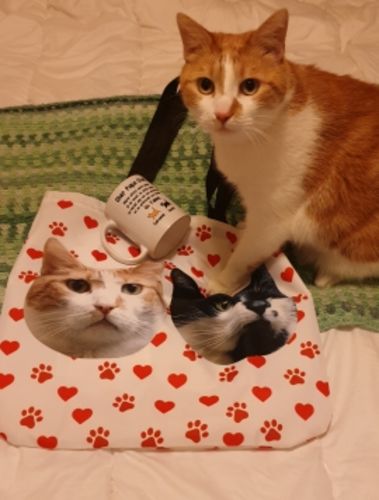 Customer photo review of Tote Bag Personnalisé Chat