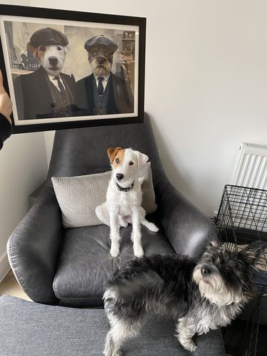 Customer photo review of Peaky Blinders 2 Pets (Male) – Custom Pet Portrait