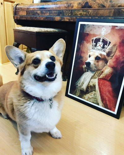 Customer photo review of The King - Custom Vintage Pet Portrait