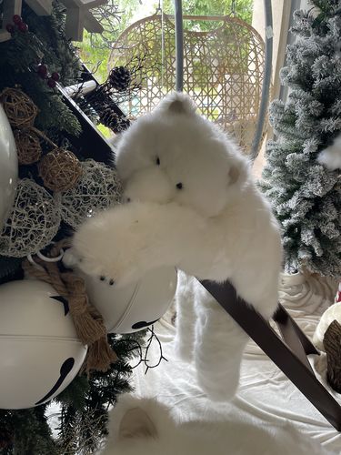Customer photo review of Ditz White Diamond Bear Hugs