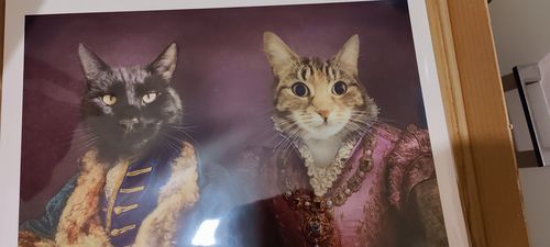 Customer photo review of The Count & The Countess  – Custom Vintage Pet Portrait