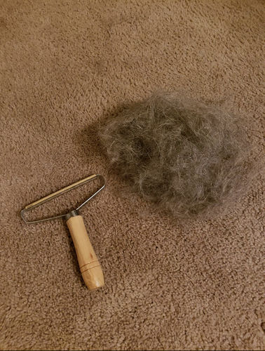 Customer photo review of 3-Pack Lint and Pet Hair Remover Brush