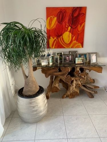 Customer photo review of Teak Wurzelholz Konsole NAGA Breite 140cm mit Glasplatte - Unikat