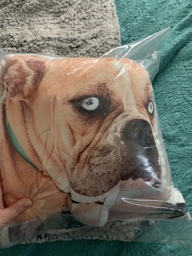 Customer photo review of Create A Custom Dog Pillow
