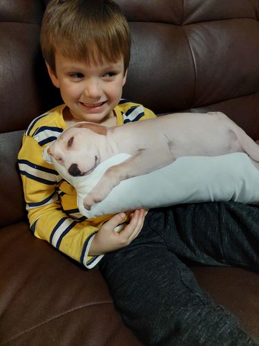 Customer photo review of Create A Custom Object Pillow