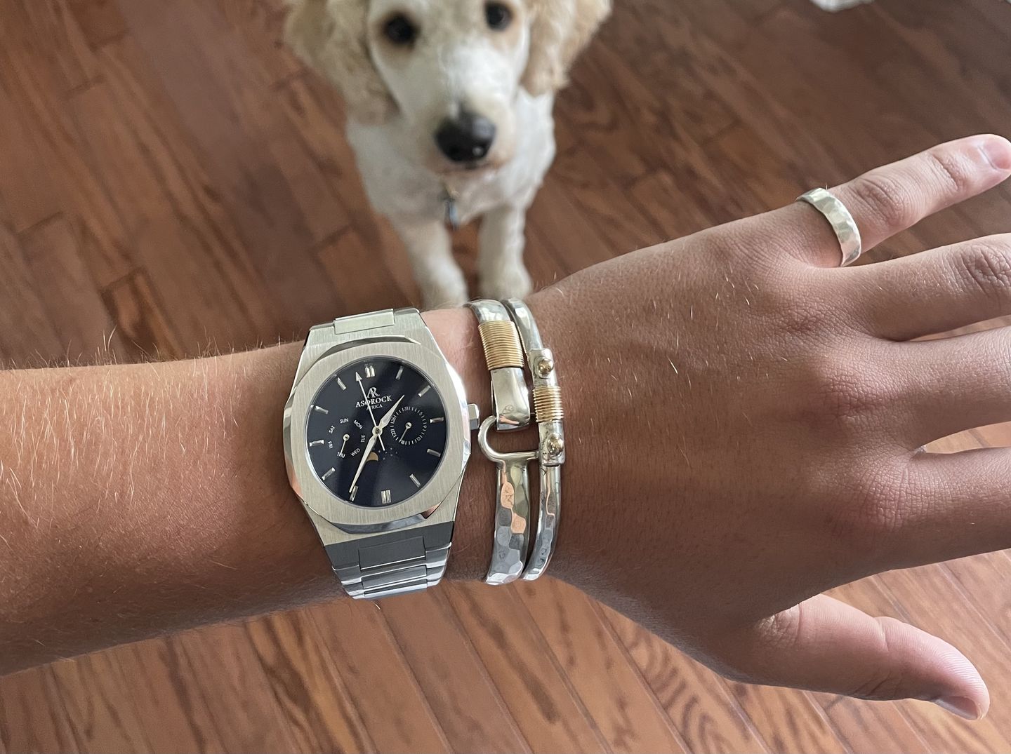 Customer photo review of Silver/Black Transporter