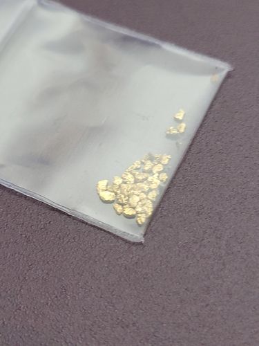 Customer photo review of Nugget Reserve 'MUSEUM SPECIMEN CHASE' - Gold Panning Paydirt