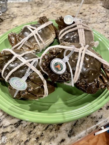 Customer photo review of 「限量」Lake Hairy Crabs 鲜活大闸蟹