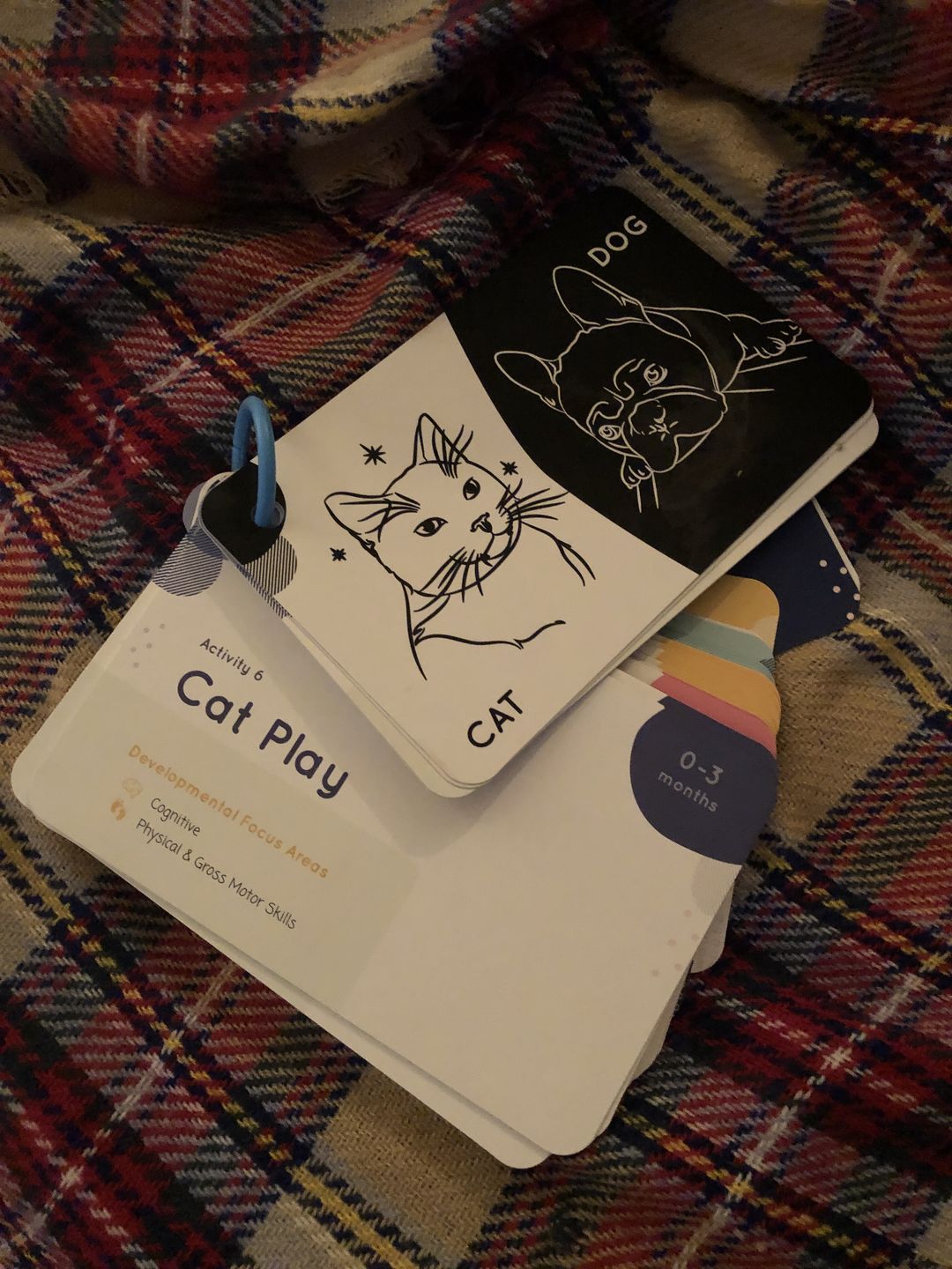 Customer photo review of Curious Baby™ Activity Cards
