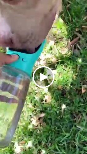 Customer video review of Pet Water Bottle