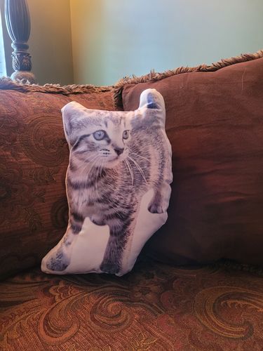 Customer photo review of Create A Custom Cat Pillow