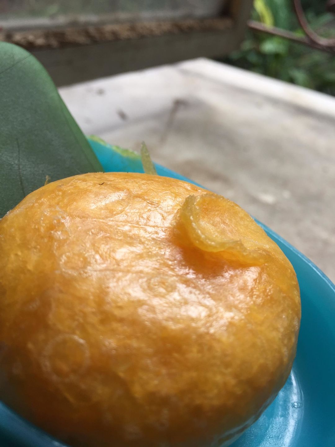 Customer photo review of Ray of Sunshine | Shampoo Bar