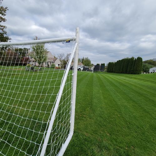 Customer photo review of GCI Turf Blue Heat Grass Seed