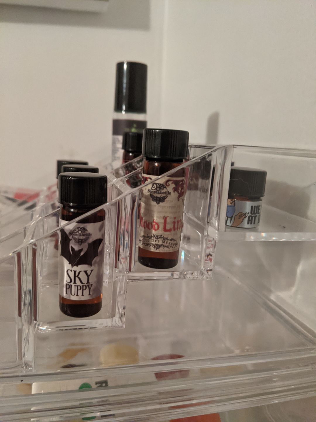 Customer photo review of Bloodline