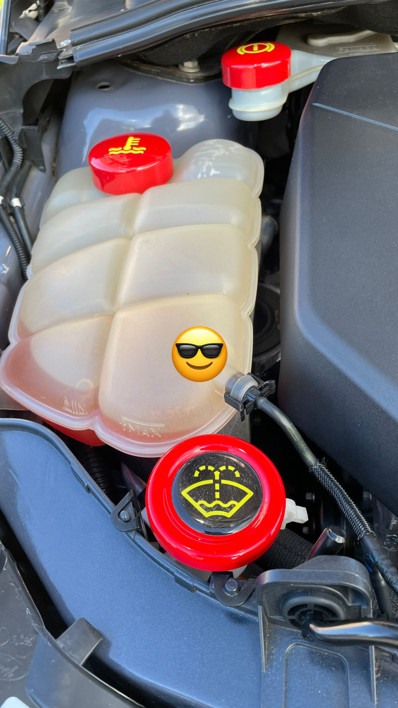 Customer photo review of Proform Bonnet Catch Cover (Painted/Hydrodipped) - MK3 / 3.5 Focus & Mk2 Puma