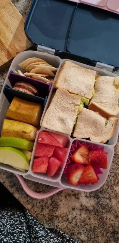 Customer photo review of b.box Bento Lunchbox  – Indigo Rose