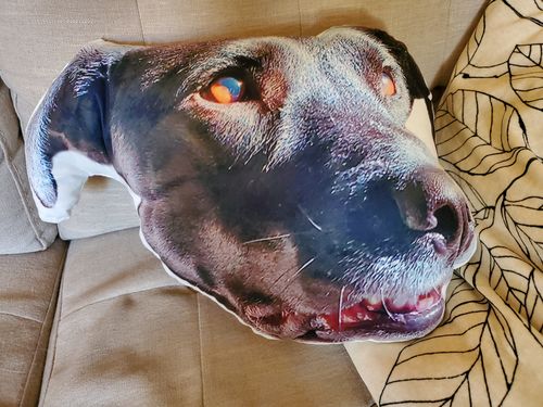 Customer photo review of Create A Custom Dog Pillow