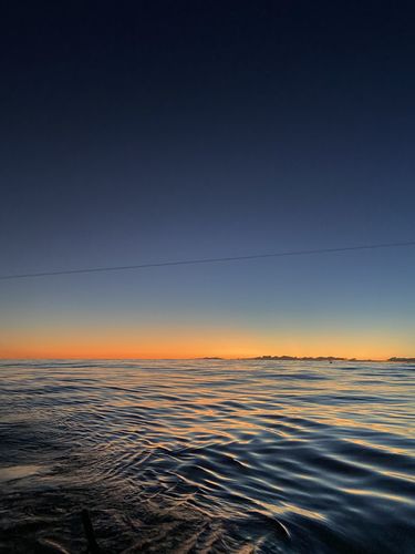 Customer photo review of N°41 MISTER