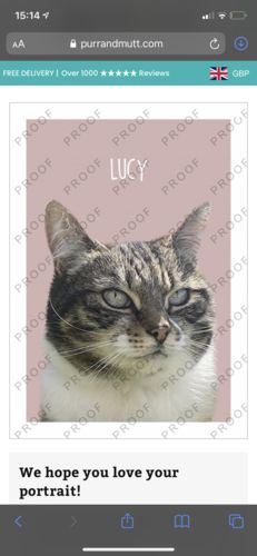 Customer photo review of Classic - Custom Pet Portrait