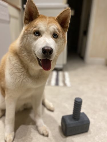 Customer photo review of The Fenrir Hammer