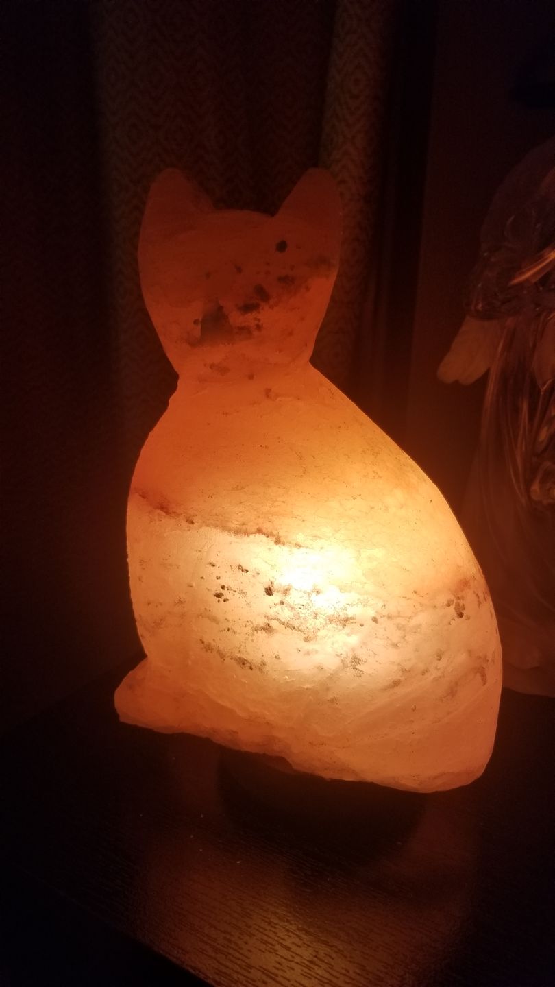 Customer photo review of Purrfect Cat Himalayan Salt Lamp