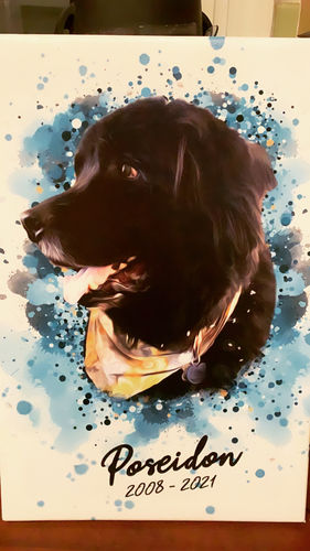 Customer photo review of Personalized Pet Art - Canvas