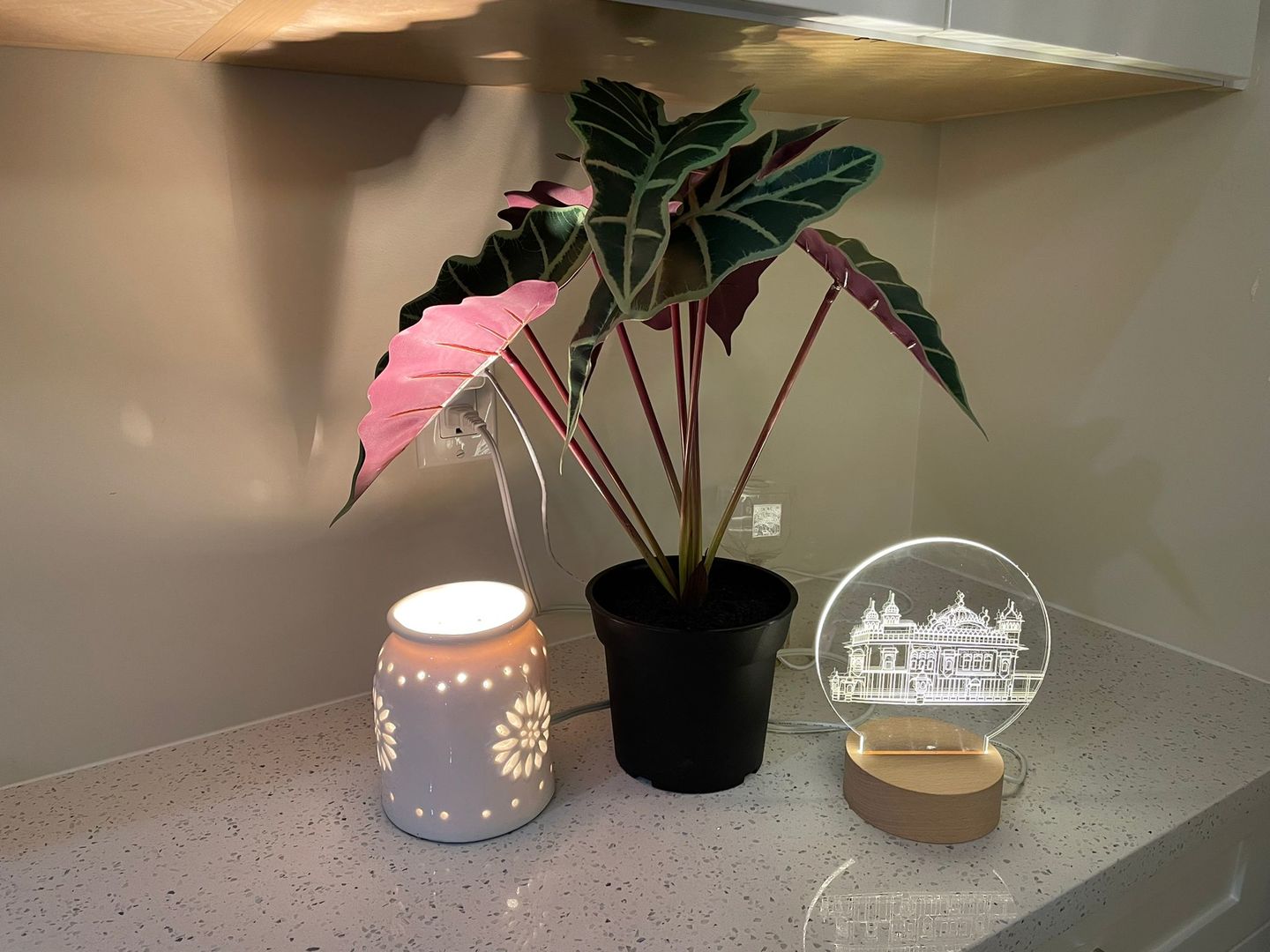 Customer photo review of Golden Temple Lamp