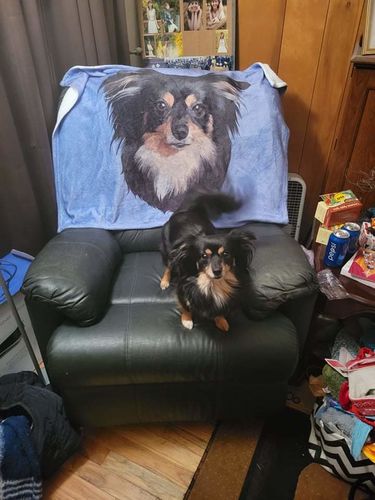 Customer photo review of Custom Pet Print Fleece Blanket