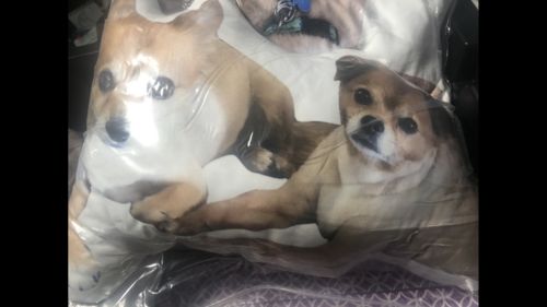 Customer photo review of Create A Custom Dog Pillow