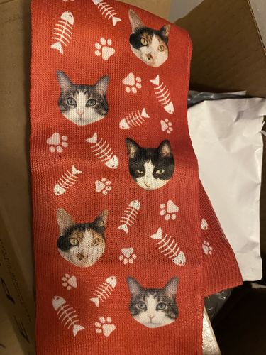 Customer photo review of Custom Cat Socks