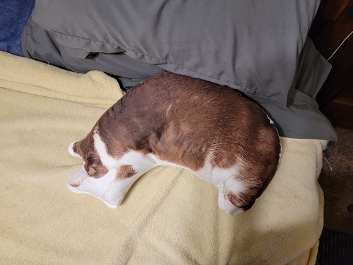 Customer photo review of Create A Custom Object Pillow