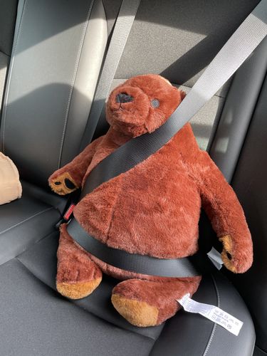 Customer photo review of SKOGGY BEAR