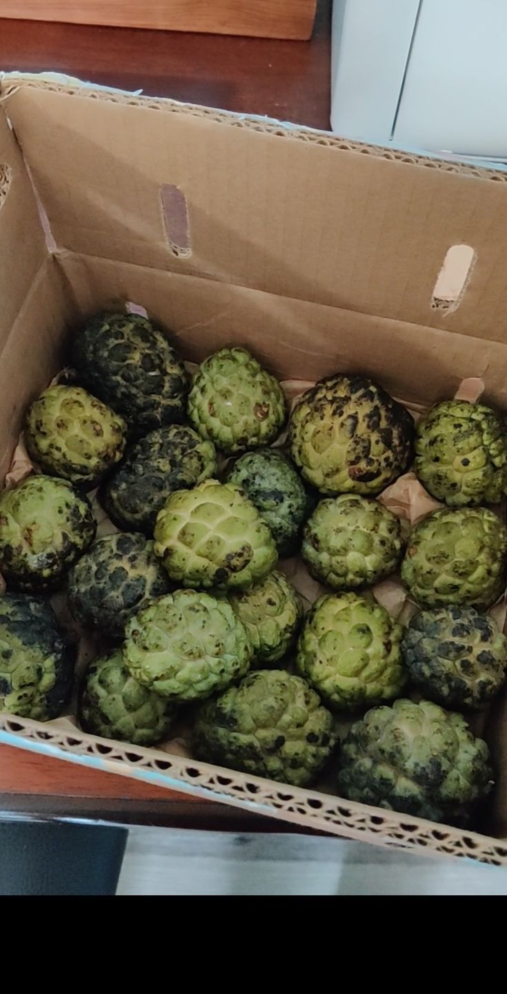 Customer photo review of Sugar Apple (Sweetsop)