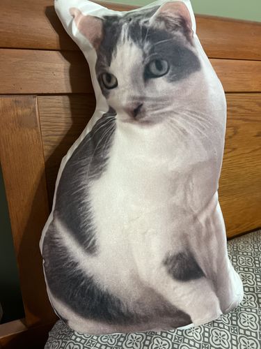 Customer photo review of Create A Custom Cat Pillow