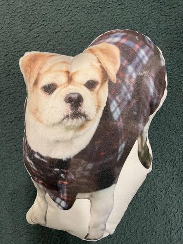 Customer photo review of Create A Custom Dog Pillow