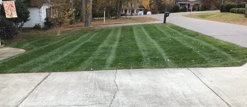 Customer photo review of Protene Performance Fall Fertilizer