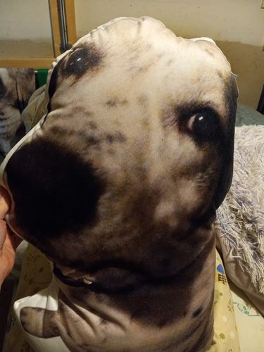 Customer photo review of Create A Custom Animal Pillow
