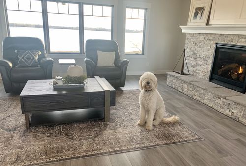 Customer photo review of Distressed Vintage Kendra Ash Area Rug