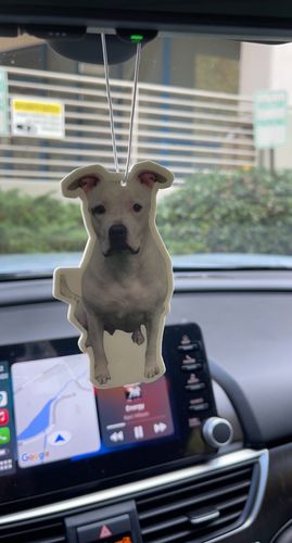 Customer photo review of Custom Air Freshener