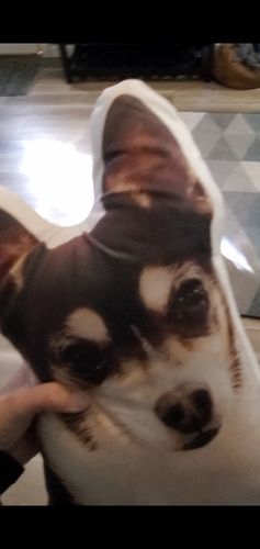 Customer photo review of Create A Custom Dog Pillow