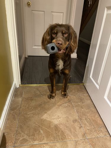 Customer photo review of The Fenrir Hammer