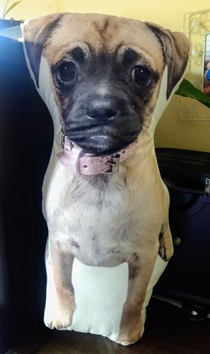 Customer photo review of Create A Custom Dog Pillow