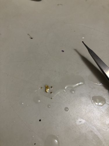 Customer photo review of Nugget Reserve 'MUSEUM SPECIMEN CHASE' - Gold Panning Paydirt Concentrate