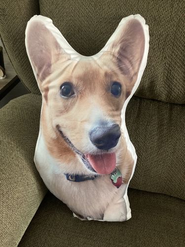 Customer photo review of Create A Custom Dog Pillow