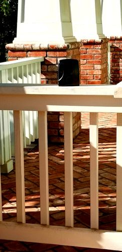 Customer photo review of Dog Silencer® MAX