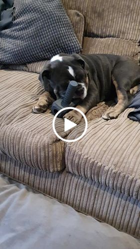 Customer video review of The Fenrir Hammer