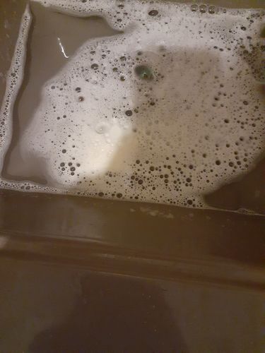 Customer photo review of Vegan Locs Detox Bar