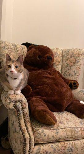 Customer photo review of SKOGGY BEAR