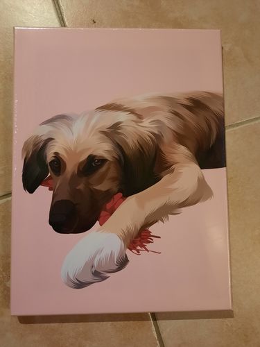 Customer photo review of Portrait Pop-Art ( sur toile )